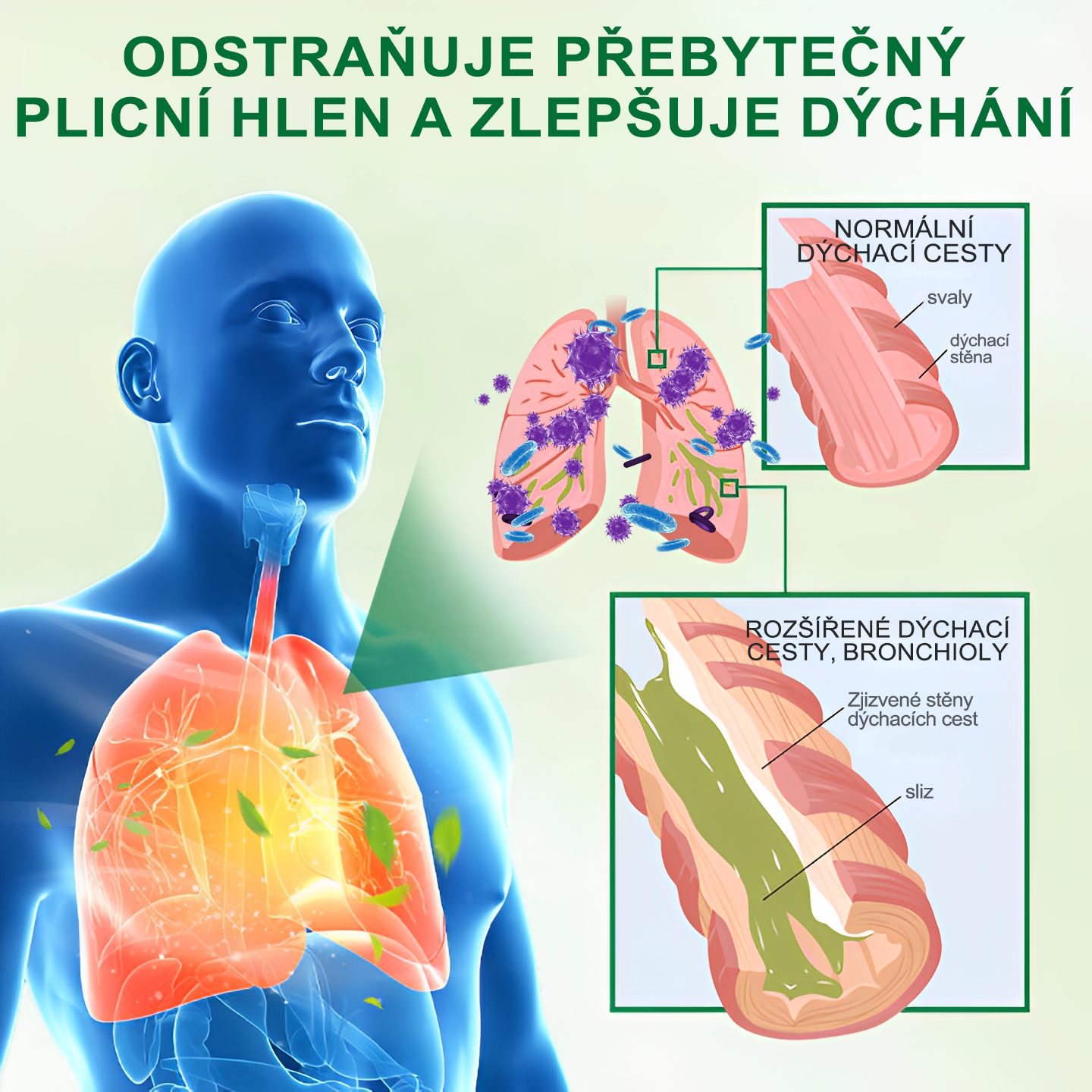 🍀🍀𝐆𝐨𝐨𝐲𝐞𝐞𝐫™ Pokročilý sprej na čištění plic -🧑‍⚕️ Podporuje zdraví plic, průdušek a dutin, napomáhá zdraví dýchacího systému a usnadňuje dýchání.